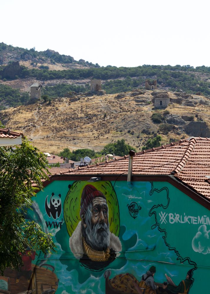 Photograph by Olga Min