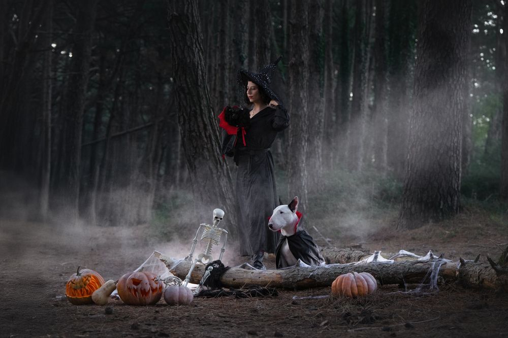 Photograph by Андрианова Ирина