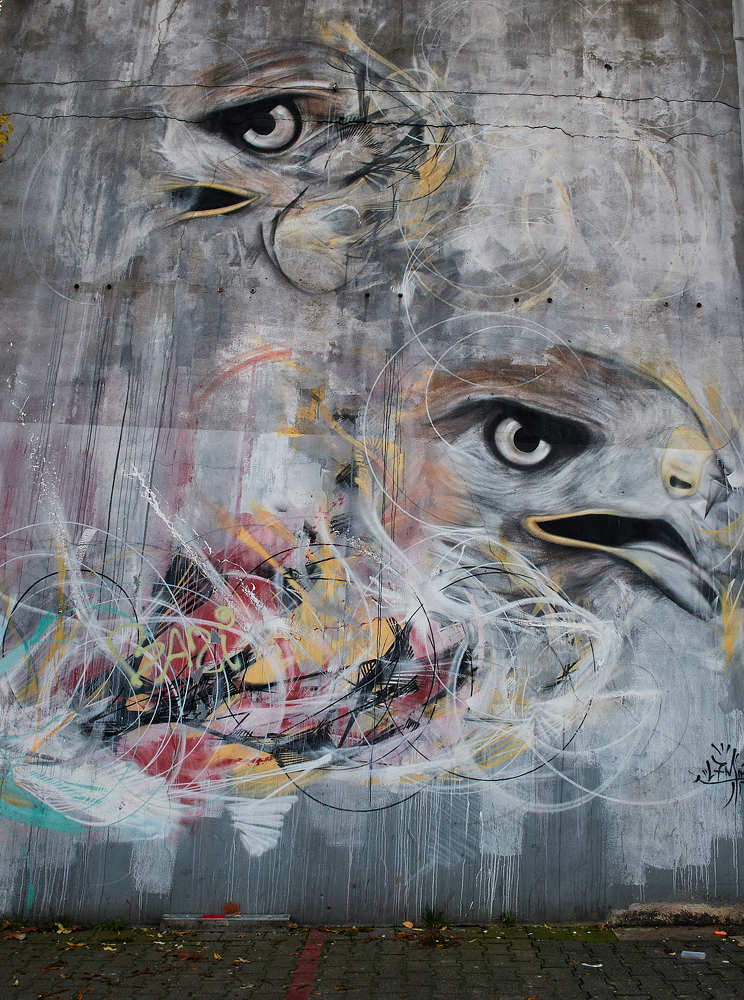 Фотография автора Ekaterina Palant