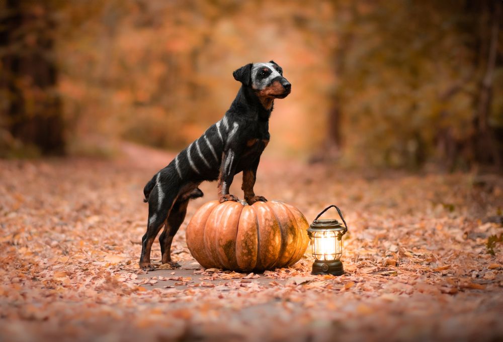 Photograph by кермит