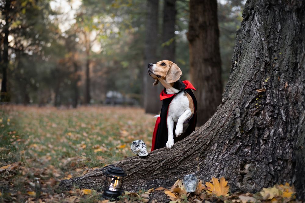 Photograph by кермит