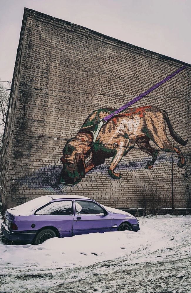 Photograph by Данила Богданов