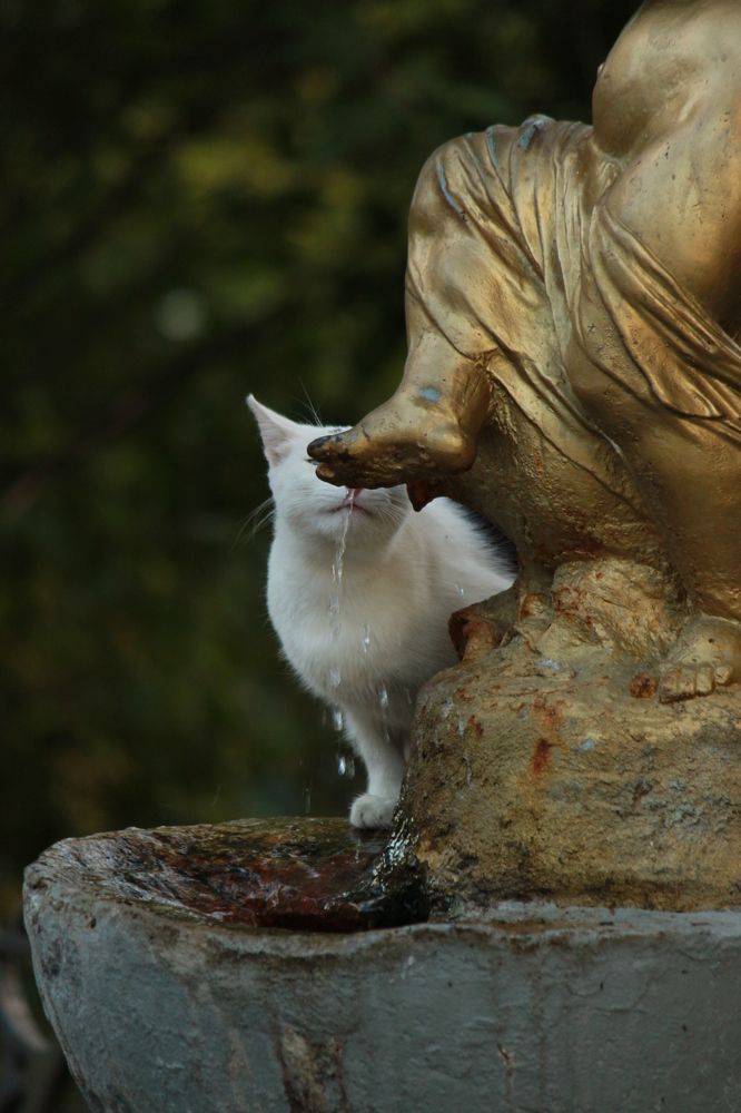 Photograph by Елена Сиднина