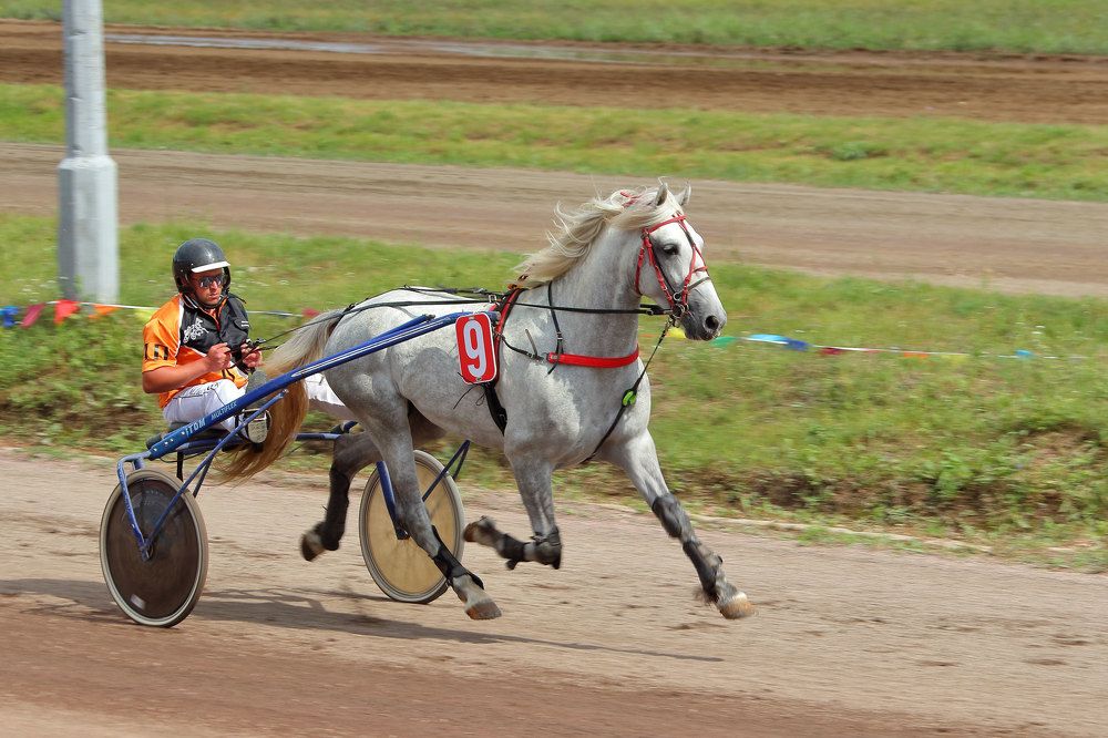 Фотография автора Светлана