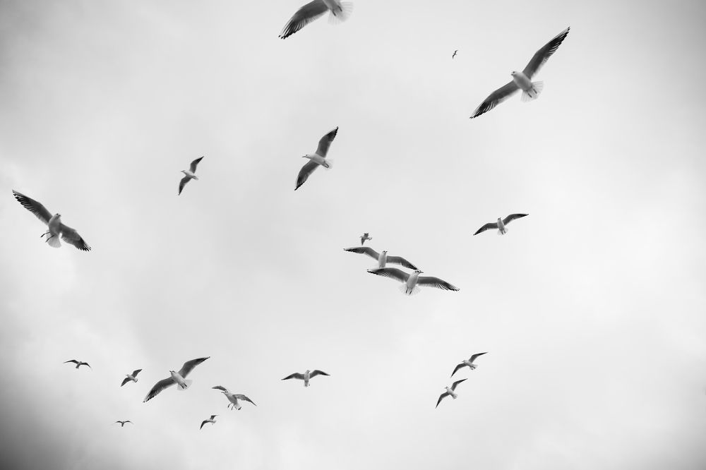 Photograph by Анна Ткаченко