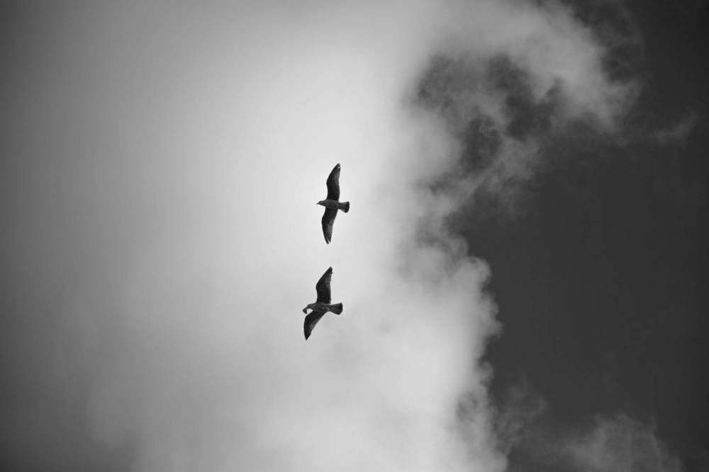 Photograph by Анна Ткаченко