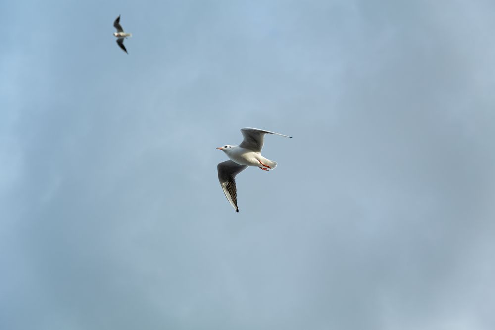 Photograph by Анна Ткаченко