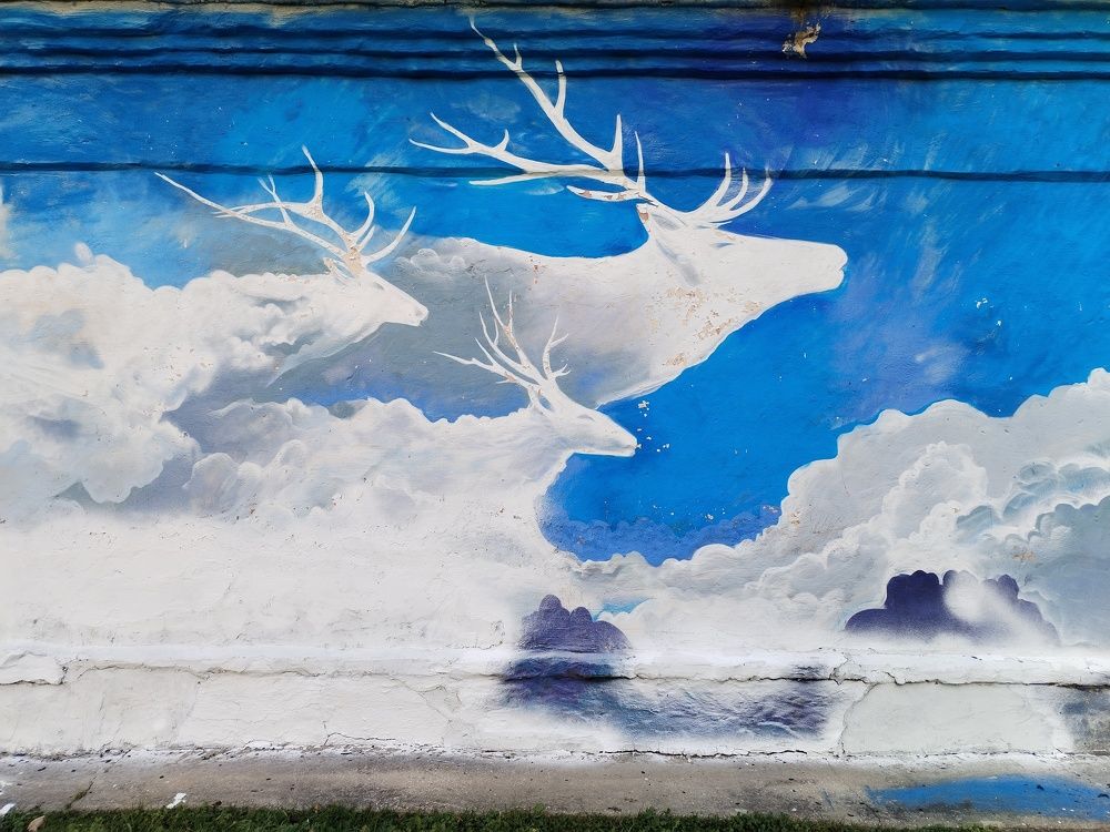 Photograph by Юлия Ю.