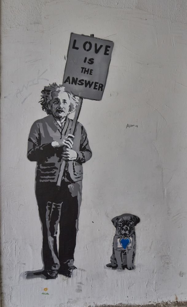 Фотография автора Тамара