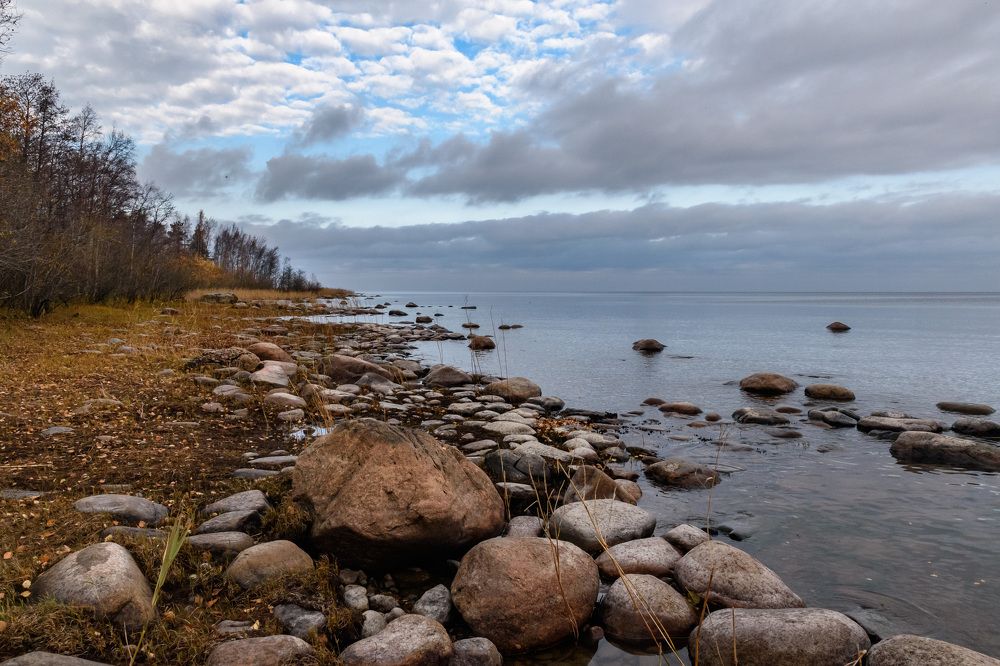 Фотография автора Мария Рохмистрова
