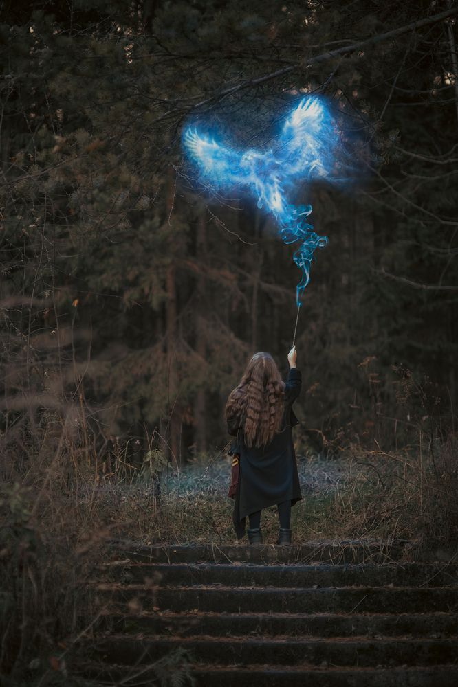 Photograph by Мария Кравченко