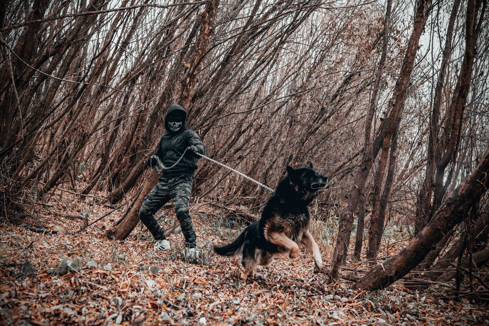 Photograph by Владимир Баженов