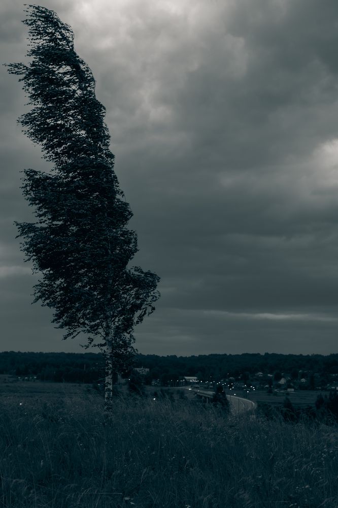 Фотография автора Aamoda Kitchen