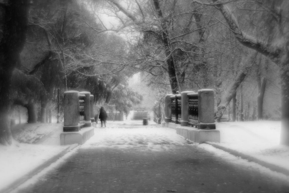 Photograph by Бондарев Александр
