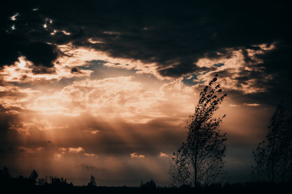 Фотография автора Aamoda Kitchen