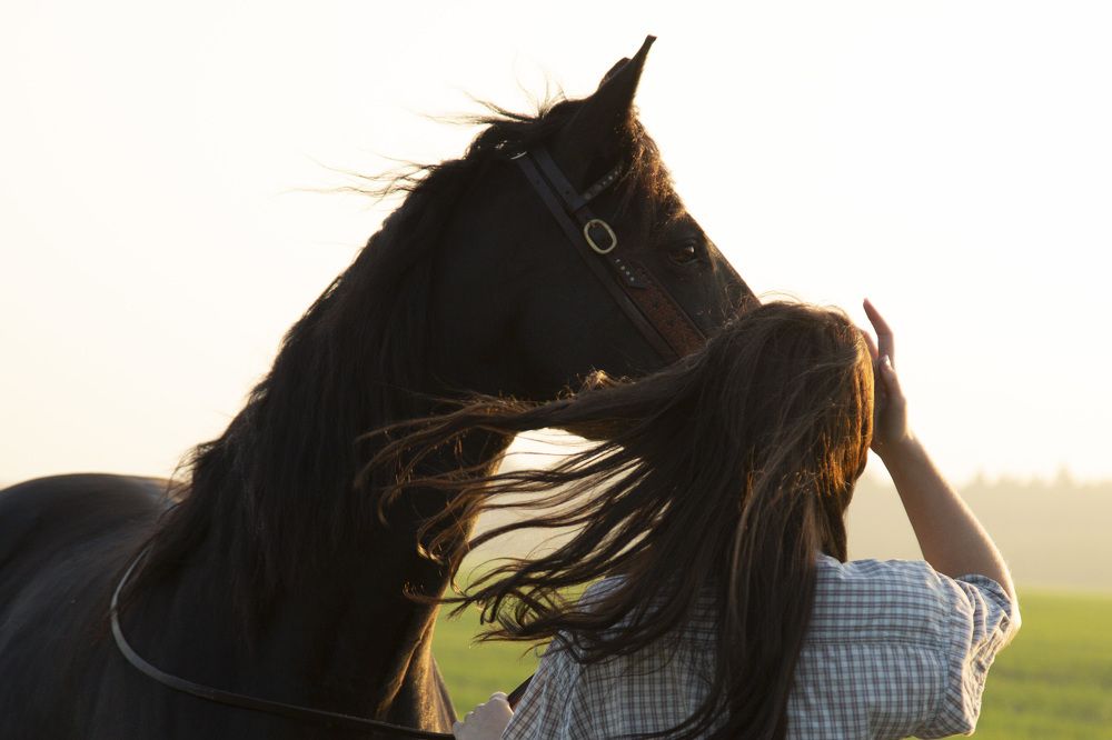 Фотография автора Полина Жаринова