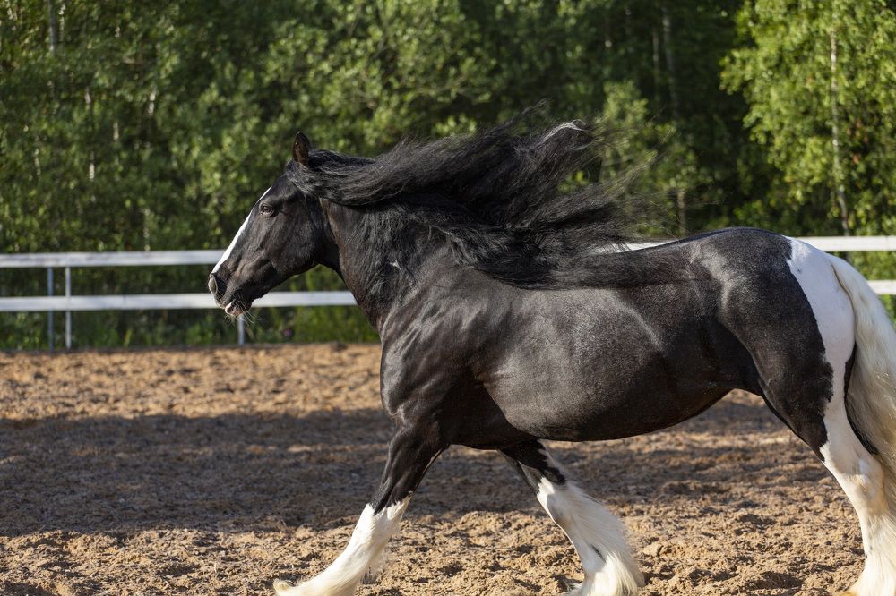 Фотография автора Полина Жаринова