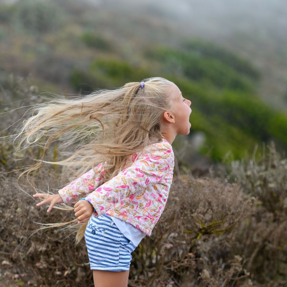 Ветер! Я тебя съем!