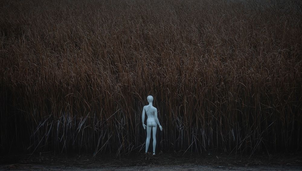 Фотография автора Бушенёв Михаил