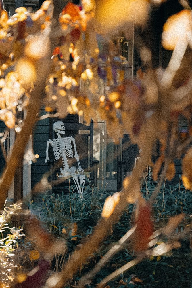 Photograph by Ekaterina Sukhanova