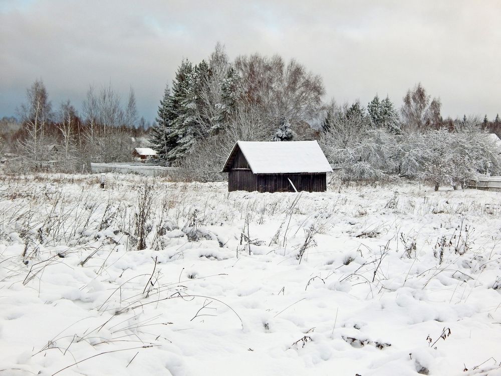 Photograph by Юрий Пучков