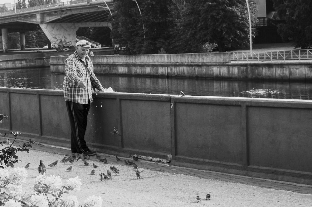 завтрак пернатых