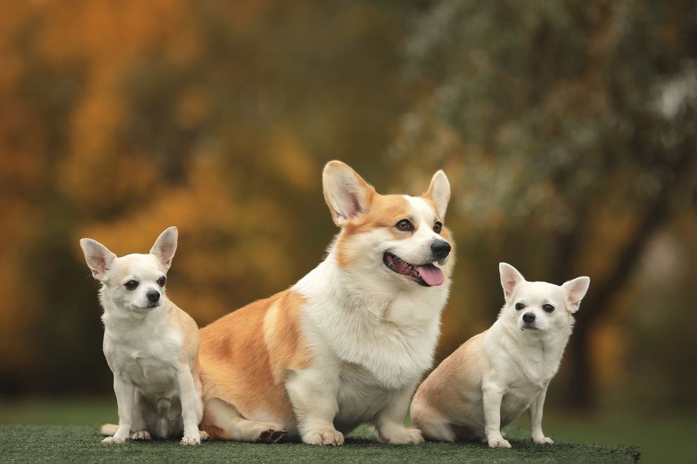 Photograph by Ирина Казанцева