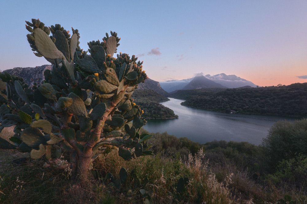 Photograph by Egor Baliasov