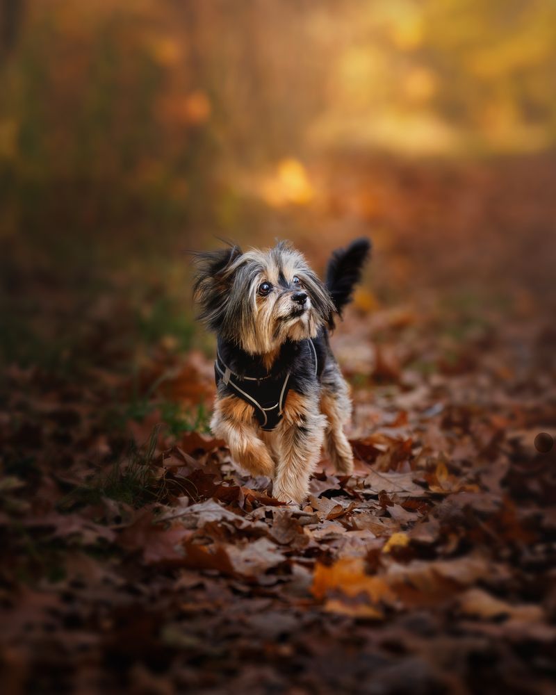 Photograph by Louisa85