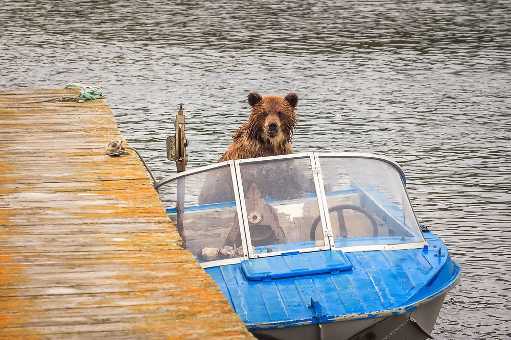 Юный капитан.