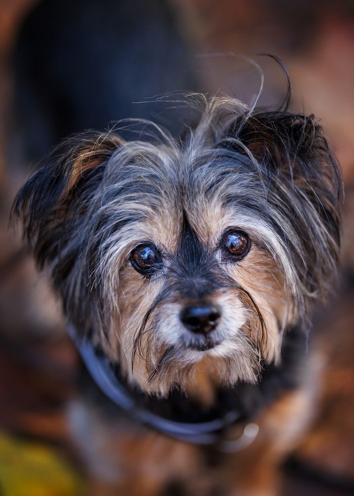 Photograph by Louisa85