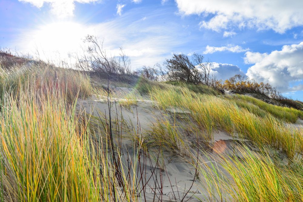 Photograph by Ангела Честнова