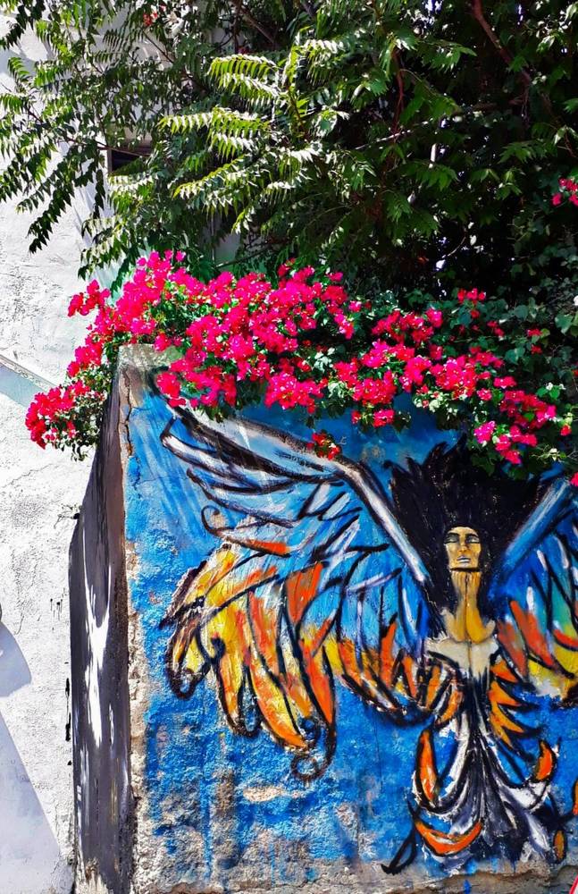 Photograph by Dilara C