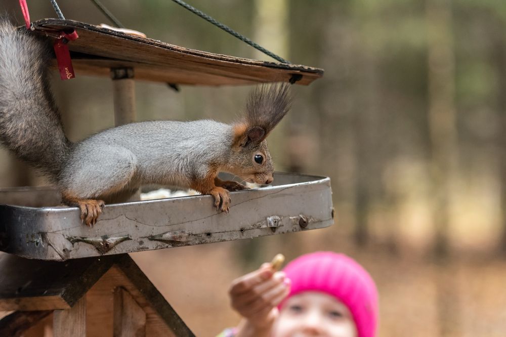 Photograph by Алексей