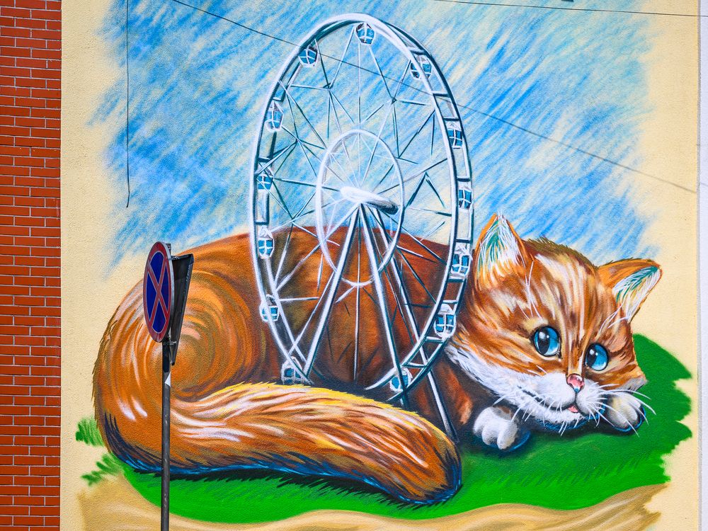 Кошка и колесо