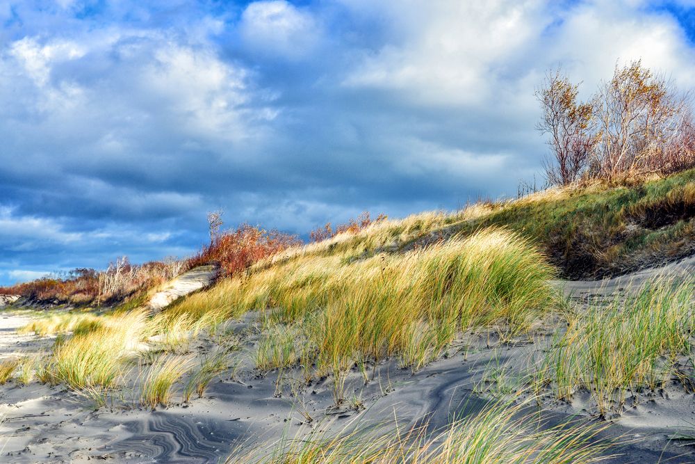 Photograph by Ангела Честнова