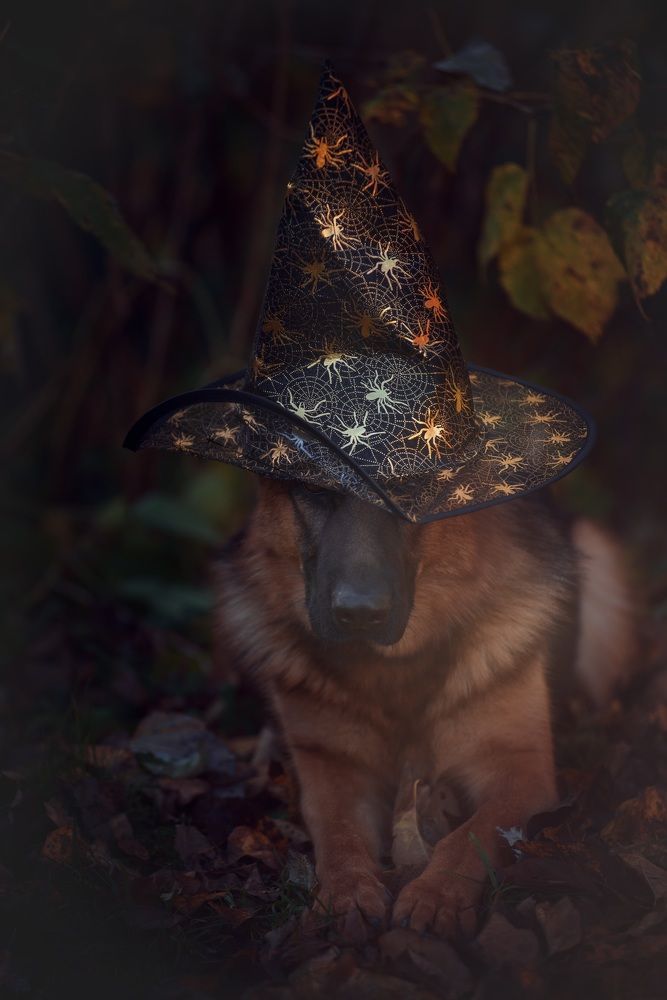 Photograph by Татьяна Рыбцева