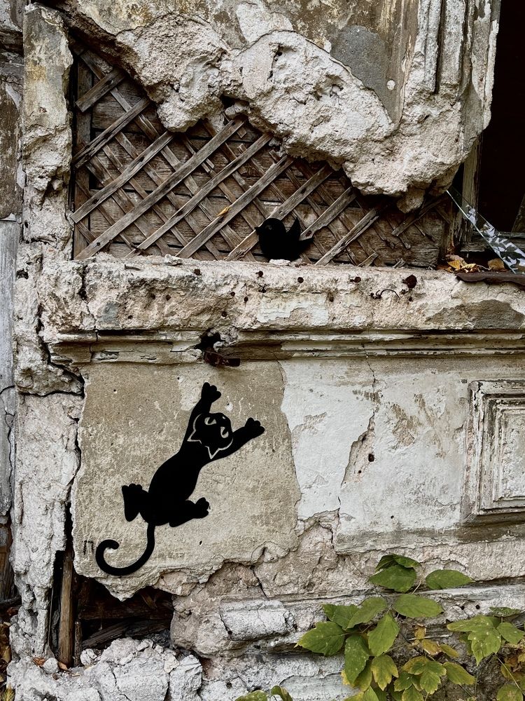 Photograph by Юлия Шевцова