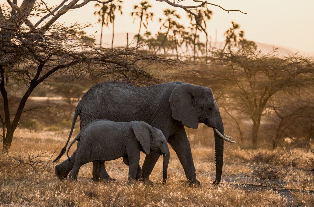 Photograph by Murad Rajabali Habib