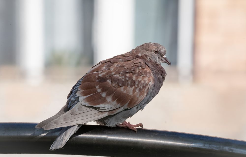 Photograph by Тамара Вотинцева