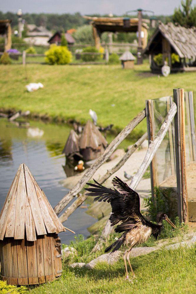 Photograph by Майя Чехова