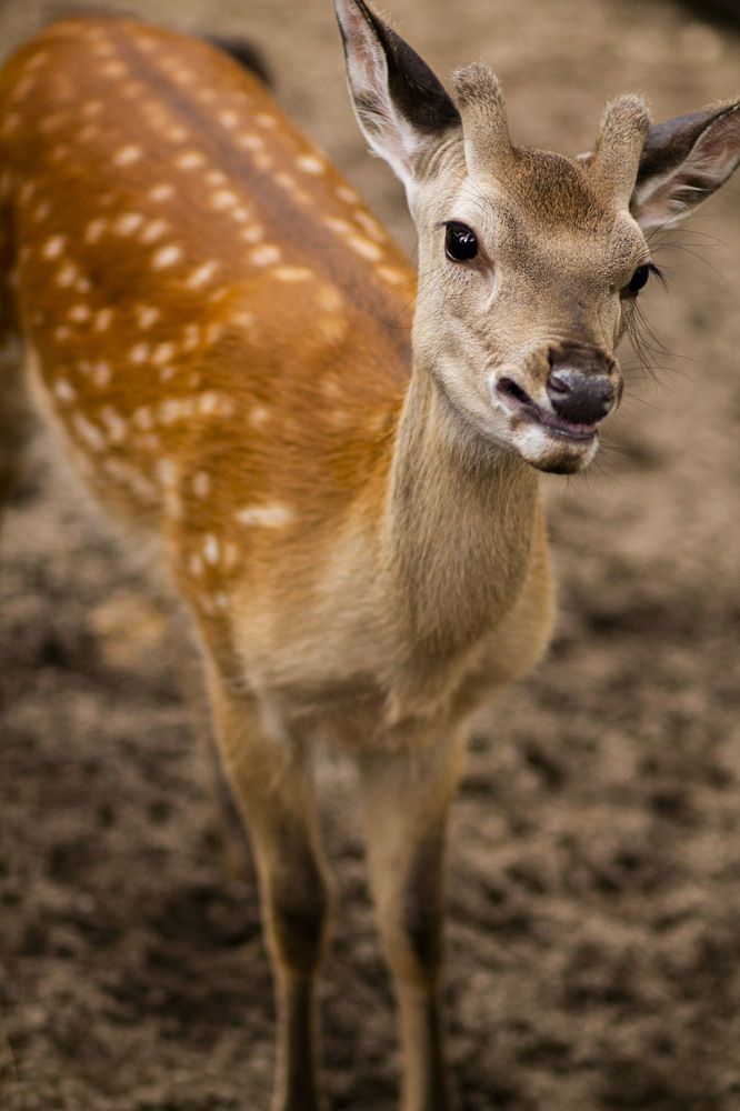 Photograph by Майя Чехова