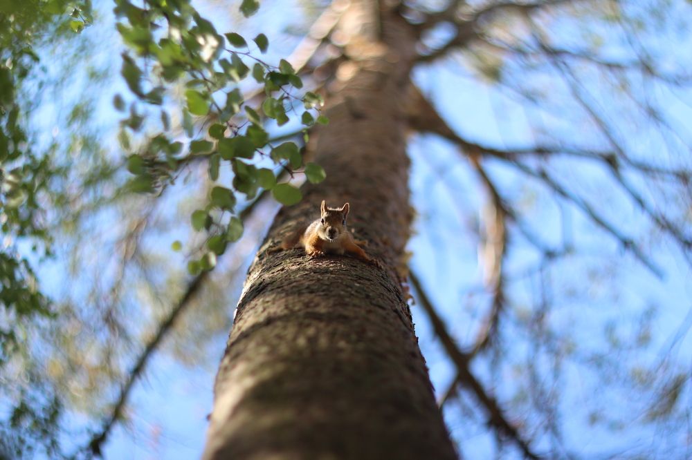 Photograph by Ирун Почётнова