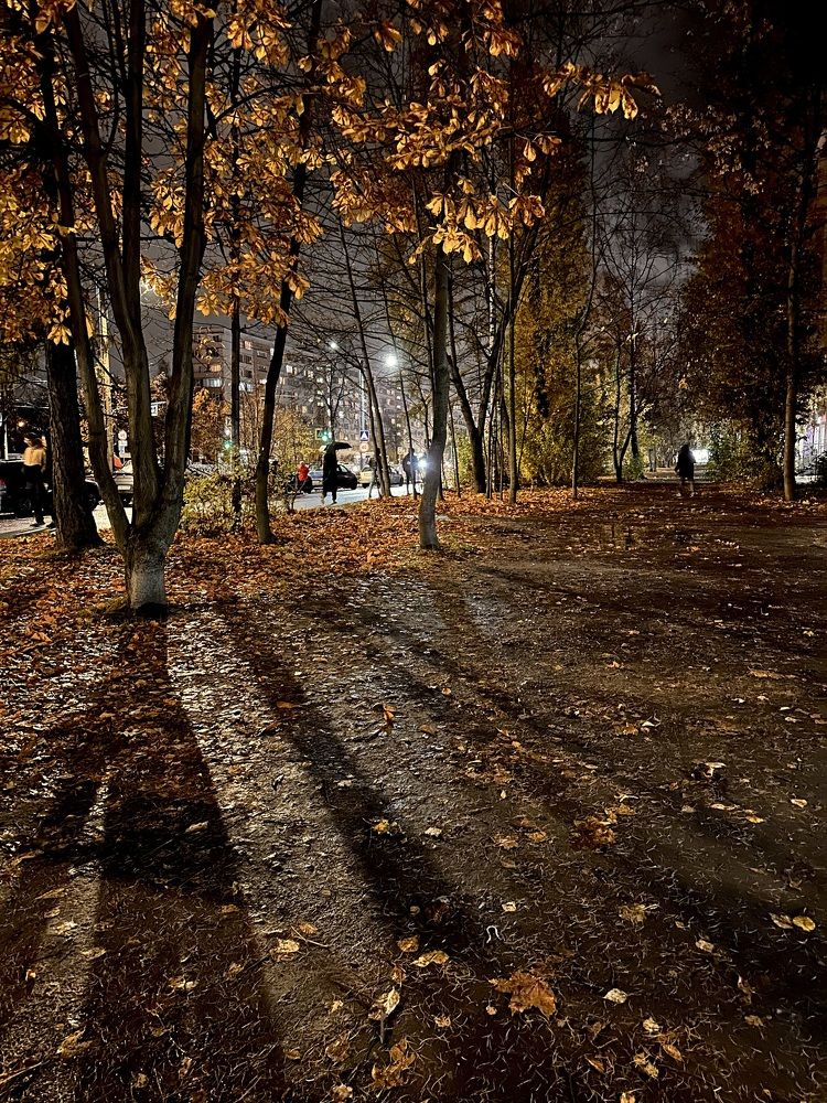 Photograph by Елена Безперстова
