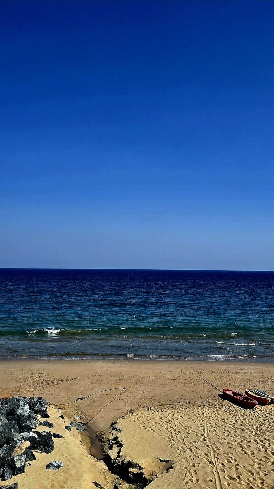 Photograph by Анна Армашева