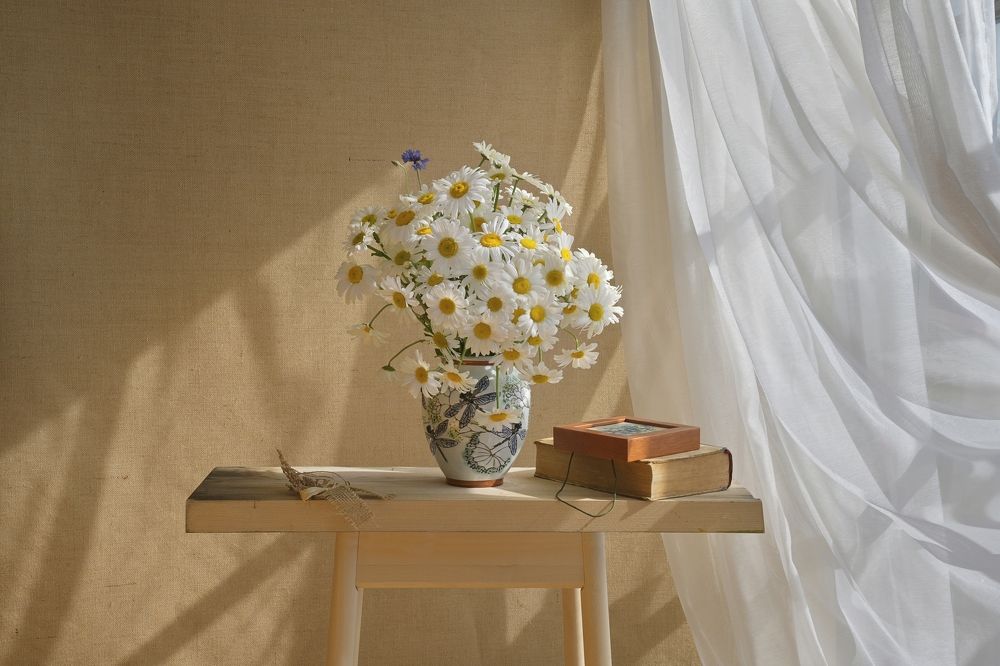 Ромашковое утро. Невесомость.