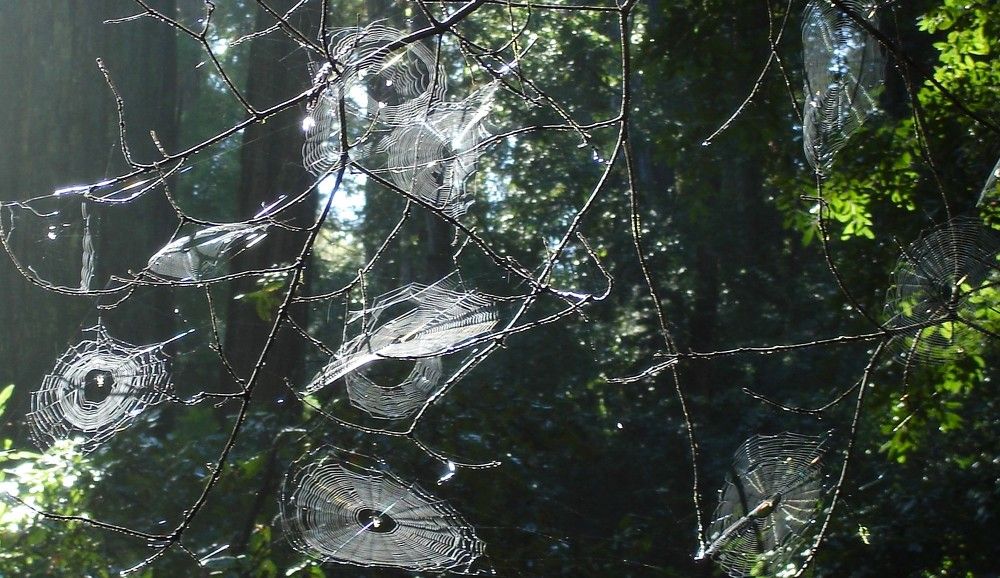 Photograph by Ирина Орлова