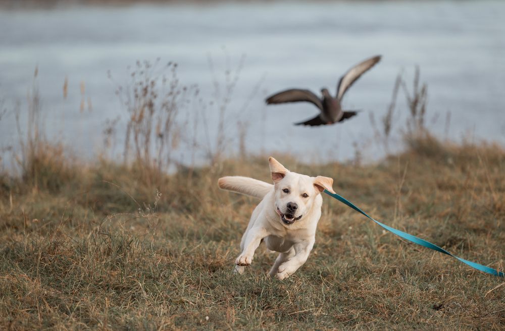 Photograph by Светлана Степашина