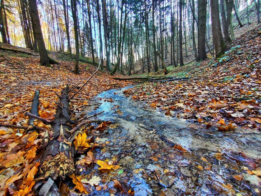 Photograph by Екатерина Борисовна Кузьмина