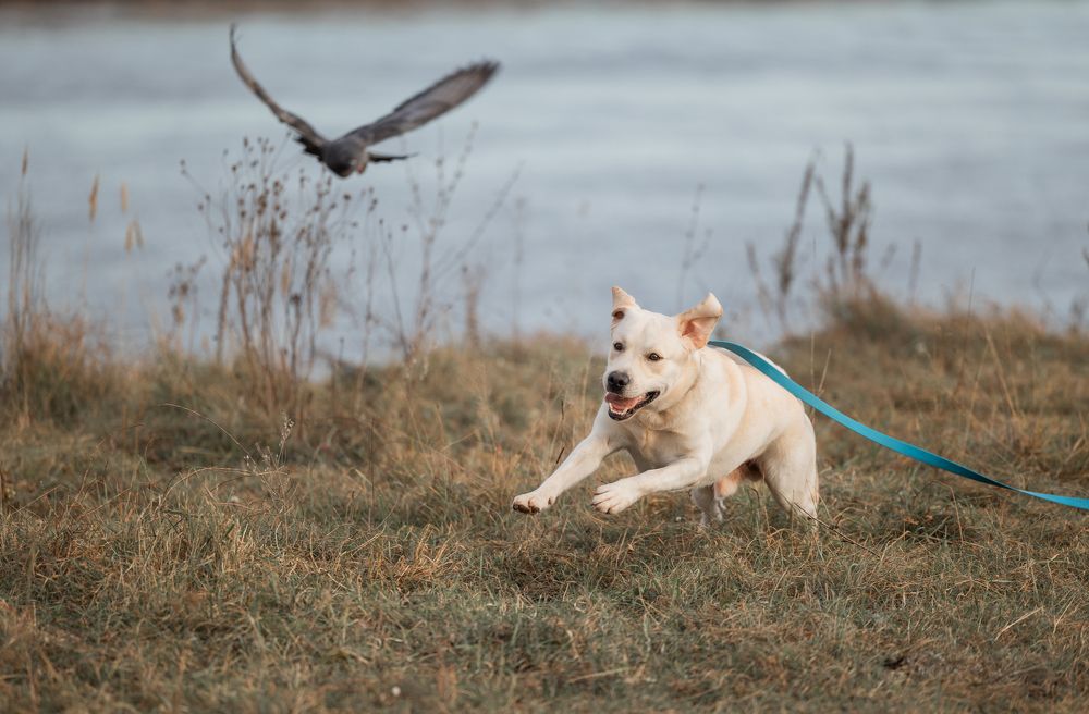 Photograph by Светлана Степашина